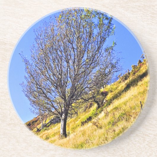 L0NEBOOM ZANDSTEEN ONDERZETTER (Voorkant)