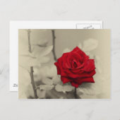 _L0S7918.jpg Briefkaart (Voorkant / Achterkant)