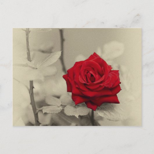 _L0S7918.jpg Briefkaart (Voorkant)