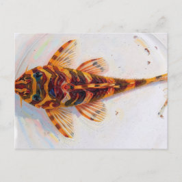 L134 pleco luipaardkikker  briefkaart