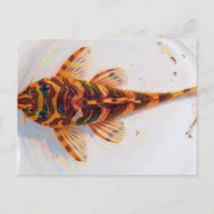 L134 pleco luipaardkikker briefkaart