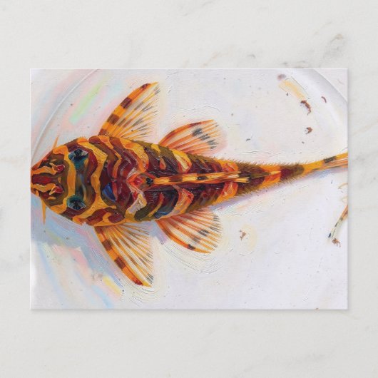 L134 pleco luipaardkikker  briefkaart (Voorkant)