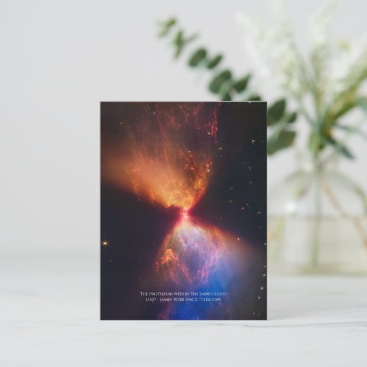 L1527 en Protostar - James Webb Space Telescope Briefkaart (Staand voorkant)