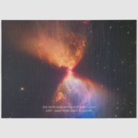 L1527 en Protostar - James Webb Space Telescope