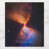 L1527 en Protostar - James Webb Space Telescope Wijn Etiket (Enkel label)