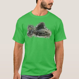 L191 Broken Line Royal Pleco Panaque sp. T-shirt