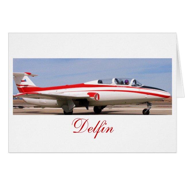 L29 Delfin2, Delfin (Voorkant Horizontaal)