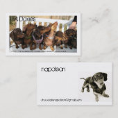 L.A.Doxies [Napoleon] Visitekaartje (Voorkant / Achterkant)