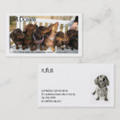 L.A.Doxies [Rufus] Visitekaartje (Voorkant / Achterkant)