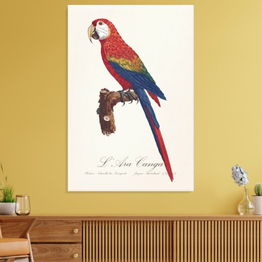 L' Ara Macao / Scarlet Macaw Canvas Afdruk (Insitu (Woonkamer))