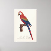 L' Ara Macao / Scarlet Macaw Canvas Afdruk (Voorkant)