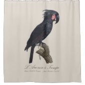 L' Ara Noir a Trompe / Palm Cockato Douchegordijn (Voorkant)