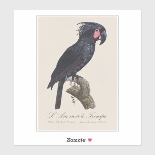 L' Ara Noir a Trompe / Palm Cockato Sticker (Vel)