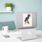 L' Ara Noir a Trompe / Palm Cockato Sticker (Laptop op bureau)