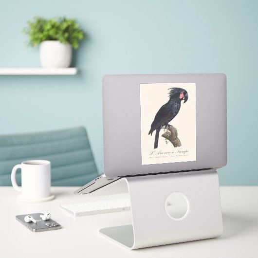 L' Ara Noir a Trompe / Palm Cockato Sticker (Laptop op bureau)