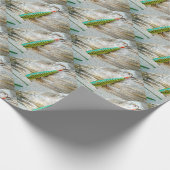 L Cooper Goo Eyes Antiek Vist Lure Cadeaupapier (Hoek)