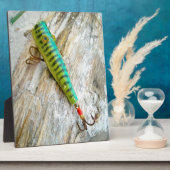 L Cooper Goo Eyes Antiek Vist Lure Fotoplaat (Zijkant)