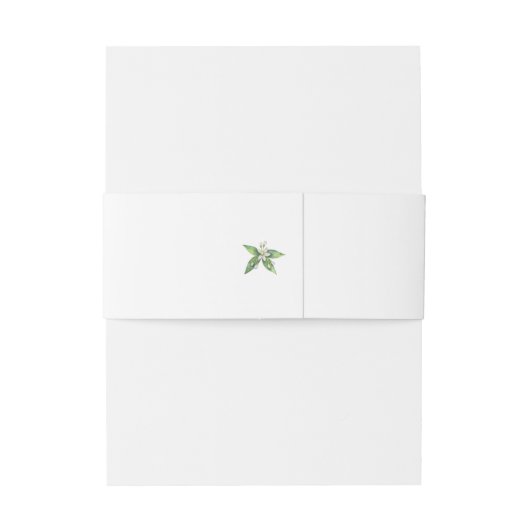 L. Orangerie Oranje bloesemuitnodiging Belly Band Uitnodigingen Wikkel (Achterkant Voorbeeld)