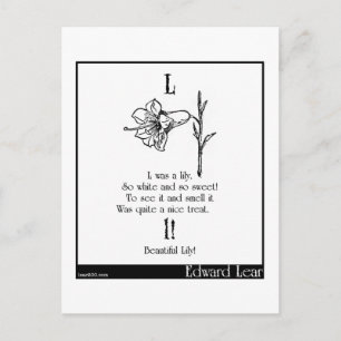 L was een leugenaar briefkaart