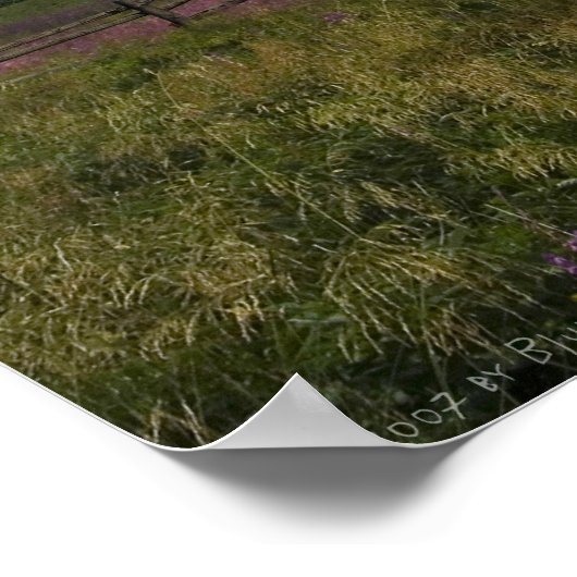 La Aldea Poster (Hoek)