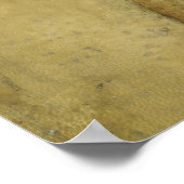 La Bella Principessa Canvas Print (Hoek)