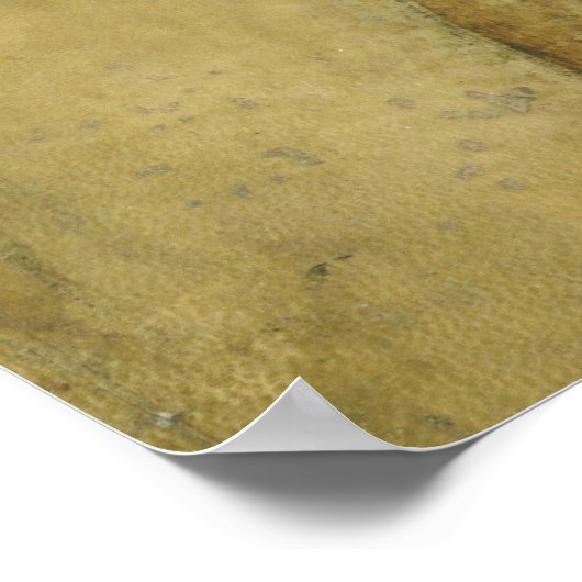 La Bella Principessa Canvas Print (Hoek)