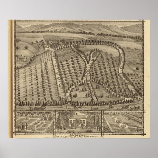 La Belle, de plaats van Thos Hornbrook Poster (Voorkant)