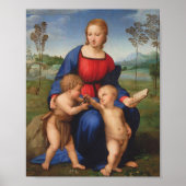 La Belle Jardiniere 1507 Poster (Voorkant)