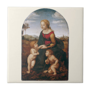 La Belle Jardinière door Rapahel Tegeltje