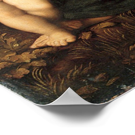 La belle jardinière - Madonna - Raphael - Raffael Poster (Hoek)