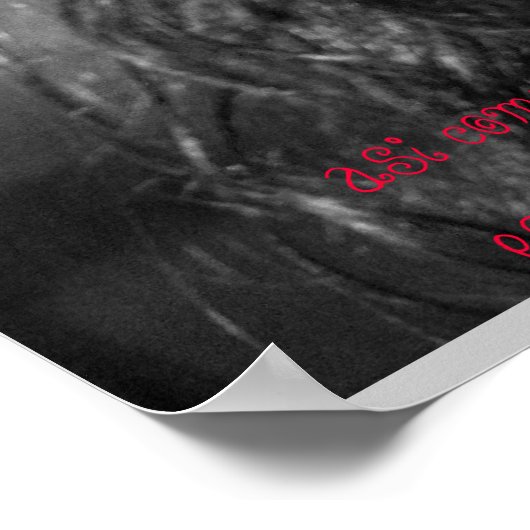 La Belleza Poster (Hoek)