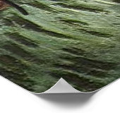 La Berceuse (Augustine Roulin) 1889 Poster (Hoek)