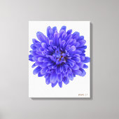 La Bluette Art Canvas Afdruk (Voorkant)