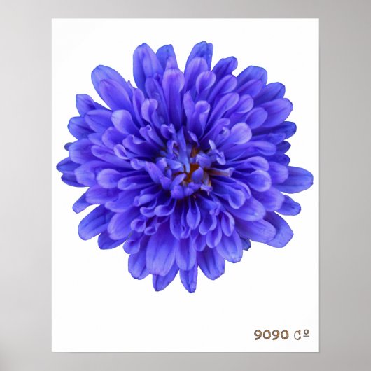 La Bluette Poster (Voorkant)