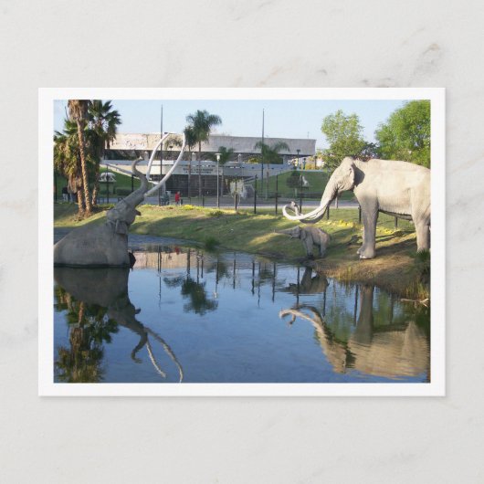 LA BREA TAR PITS #1 Briefkaart (Voorkant)