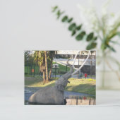 LA BREA TAR PITS #1 Briefkaart (Staand voorkant)