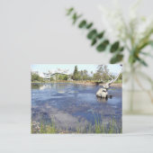 La Brea Tarpits Ponds Musea Briefkaart (Staand voorkant)