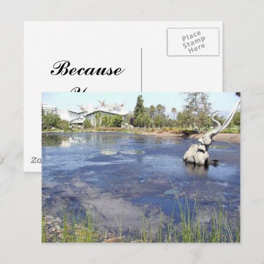 La Brea Tarpits Ponds Musea Briefkaart (Voorkant / Achterkant)
