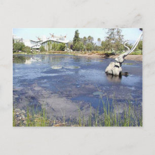 La Brea Tarpits Ponds Musea Briefkaart