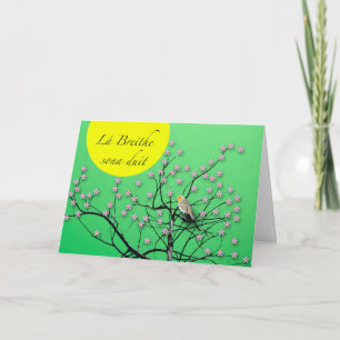 Lá Breithe sona duit Irish Birthday with Robin Kaart