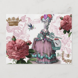 la cage aux oiseaux briefkaart