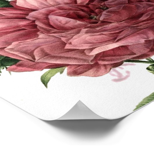 la cage aux oiseaux poster (Hoek)