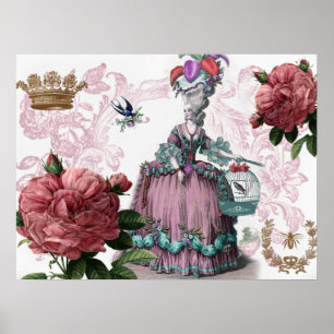 la cage aux oiseaux poster