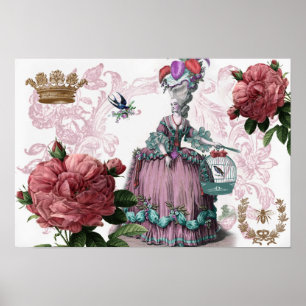 la cage aux oiseaux (The Birdcage) Poster