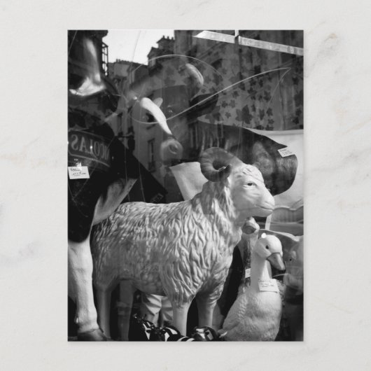 La Campagne à Paris rue Daguerre Sheep briefkaart (Voorkant)