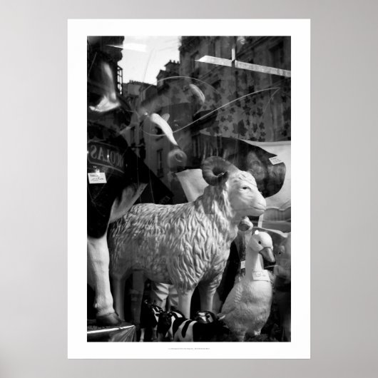 La Campagne à Paris rue Daguerre Sheep poster (Voorkant)