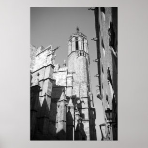 La Catedral Gargoyles Foto Poster Art Print