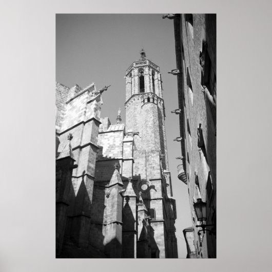 La Catedral Gargoyles Foto Poster Art Print (Voorkant)