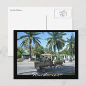 la ceiba transport briefkaart (Voorkant / Achterkant)