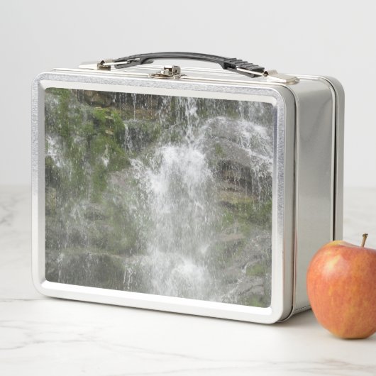 La Chute Waterfall in Forillon National Park (In situ)